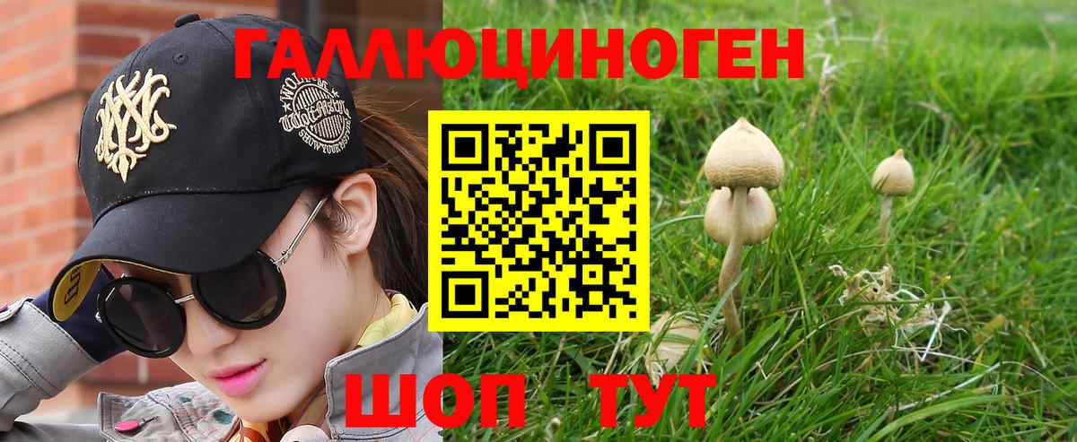 Псилоцибиновые грибы GOLDEN TEACHER  Вход с VPN  Псилоцибиновые грибы мухоморы  Кунгур 